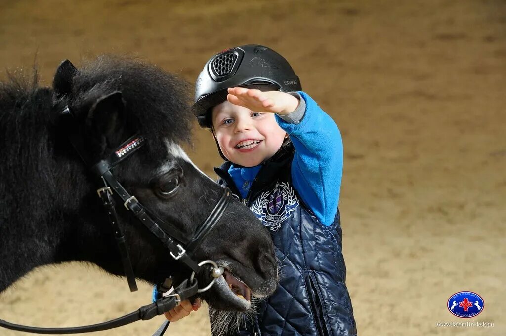 детская конная школа. академия конного спорта 2. конная школа для детей. детская конная школа. детская конная школа.