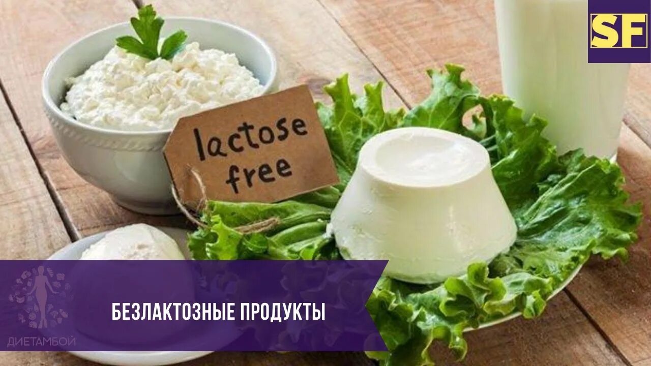 Безлактозные блюда. Безлактозные блюда. Лактоза. Сметана сыр рикотта. Безлактозные блюда.