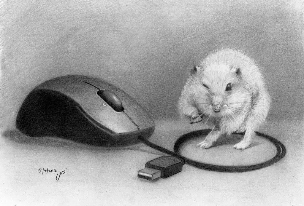 Черная белая компьютерная мышь. Мышка. Мышь компьютерная. Компьютерная мышь зарисовка. Живая компьютерная мышь.