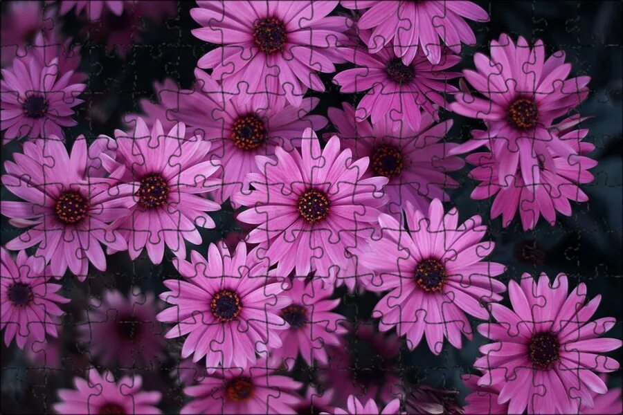 Flowered up