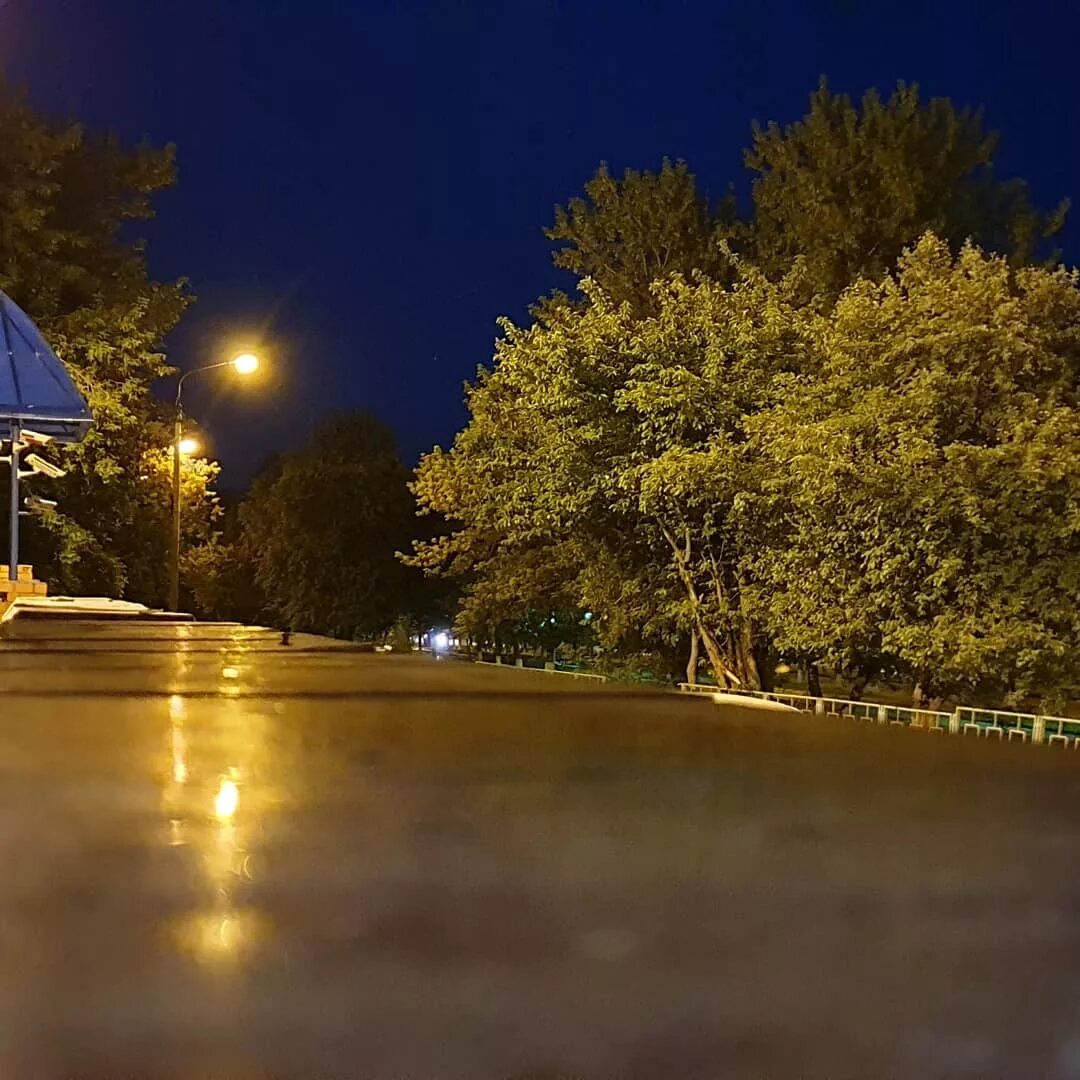 темною ночью чехов. утро чехов ночь. темною ночью чехов. чехов сейчас фото. темною ночью чехов.