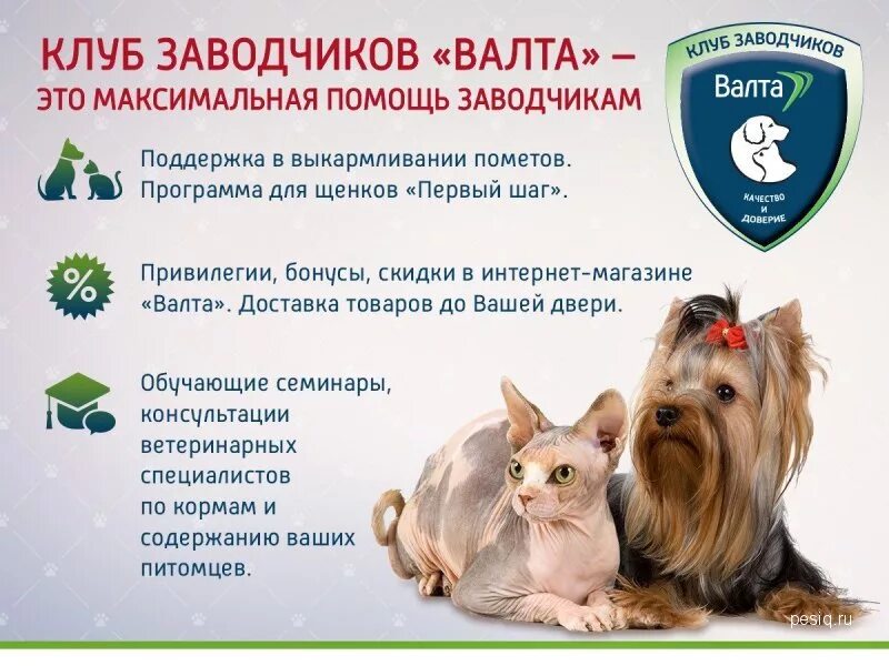 Корм заводчикам. Валта корма для животных. профессия заводчик. заводчик питомцев. заводчиков.