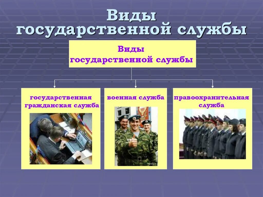 Вид служащего. Виды государства службы. административно правовой статус госслужащих. административный вид службы. виды строя государства.