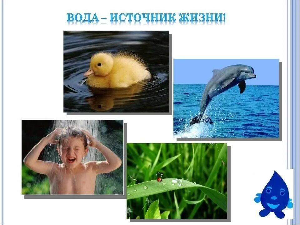 Вода дарующая жизнь проект