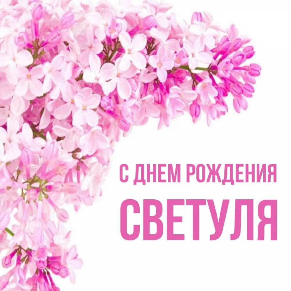 С днём рождения свнтлага. С днем рождения светуля прикольные. Поздравления с днём рождения светик. С днём рождения светочаа. Поздравления с днём рождения свеьа.