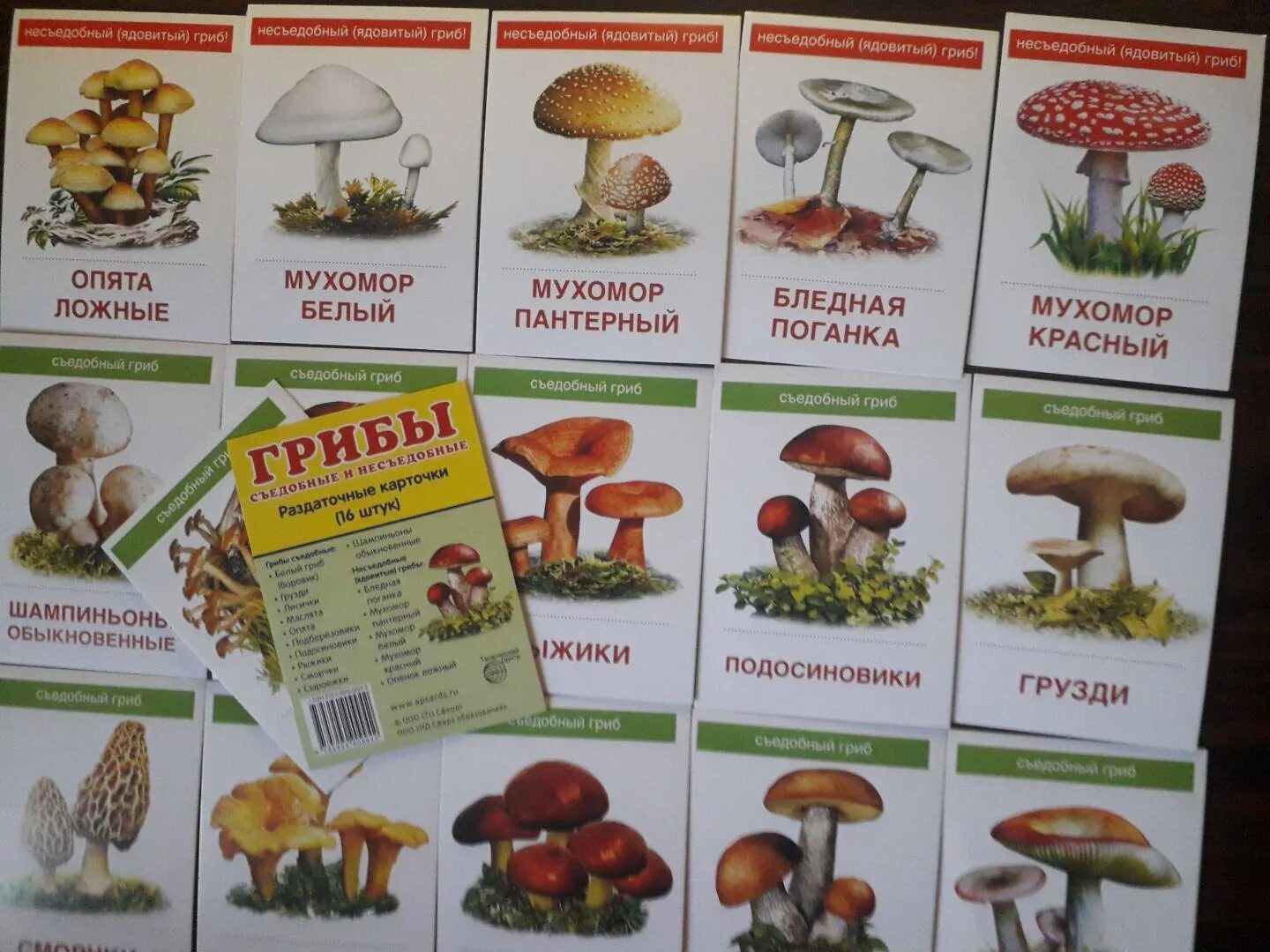 Название несъедобных