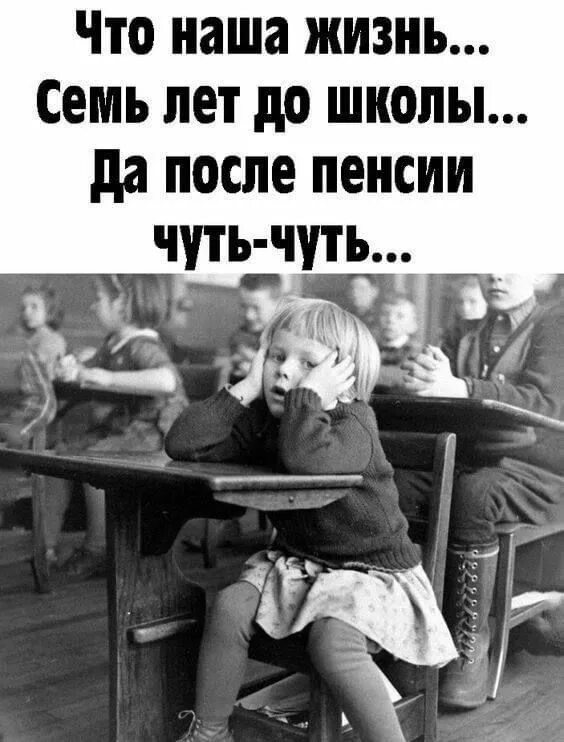 Что наша жизнь семь лет до школы и после пенсии чуть чуть. Что наша жизнь 7 лет до школы да после пенсии чуть чуть. Что наша жизнь семь лет до школы и после пенсии чуть чуть картинка. Пенсионный Возраст после школы. Пенсия после школы