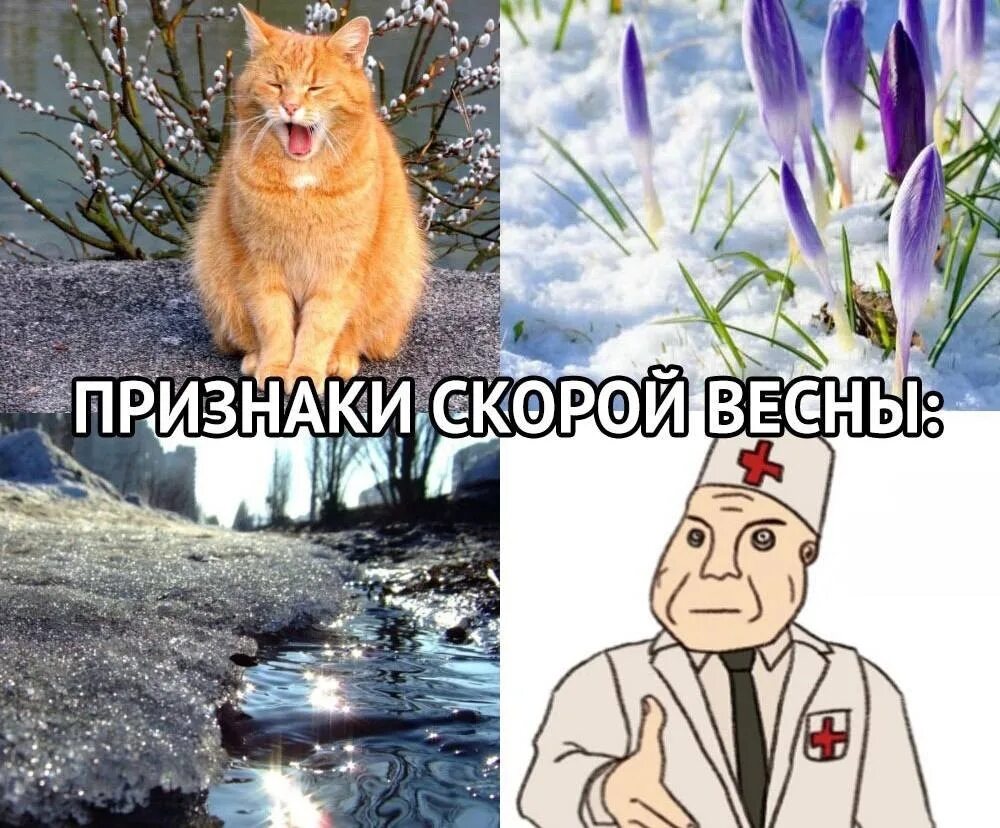 Признаки прихода весны. Мемы про весну в России. Spring is russia
