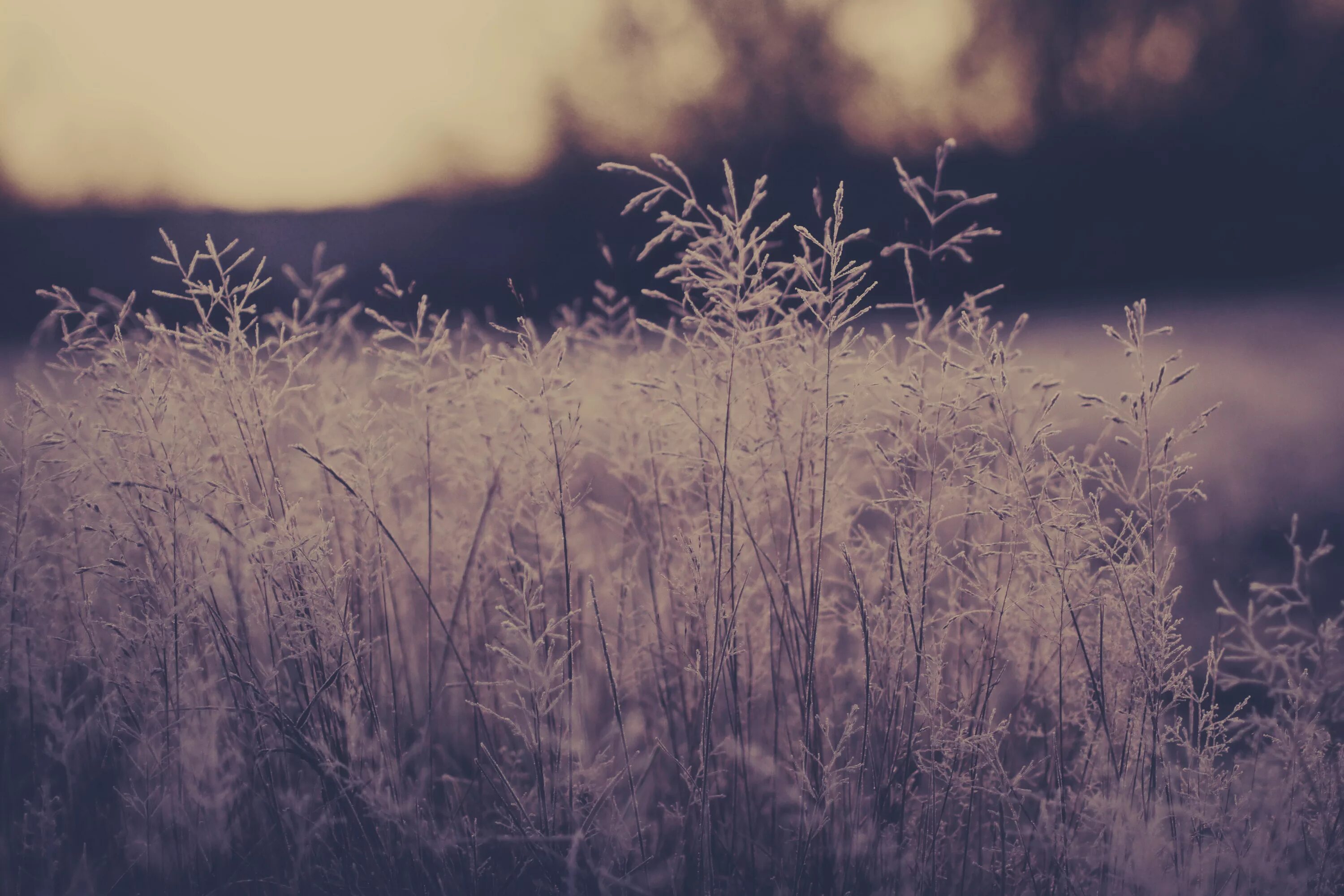 Out of the rest. Leave out all the rest. linkin park leave out all. обложка leave out all the rest. невер стоп дриминг.