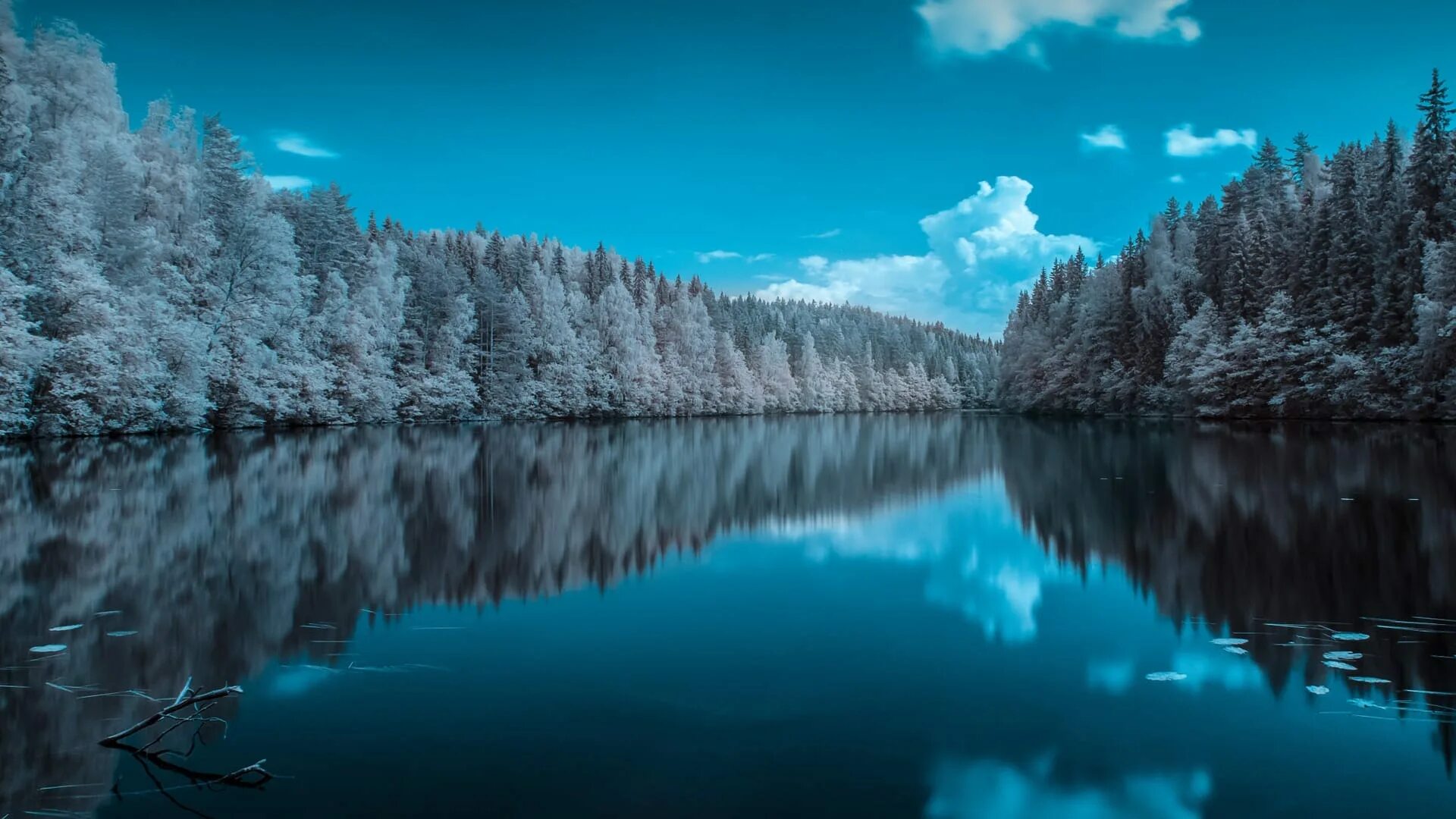 Включи канал природа. Шапка природа. шапка для канала природа. канал о природе. лесное озеро 2048x1152.