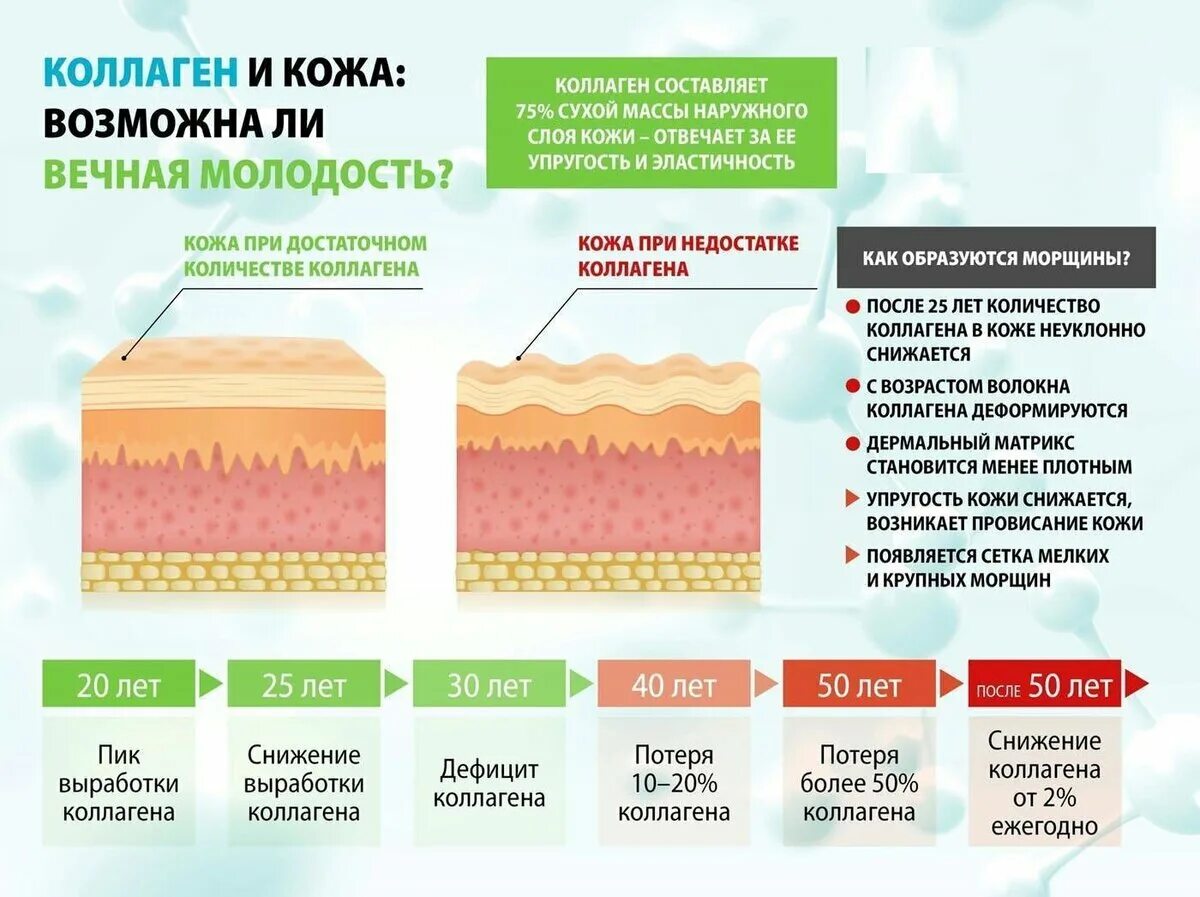 Коллаген для кожи. Выработка коллагена в коже. Потеря коллагена в коже. Влияние коллагена на кожу. Сколько коллагена надо принимать