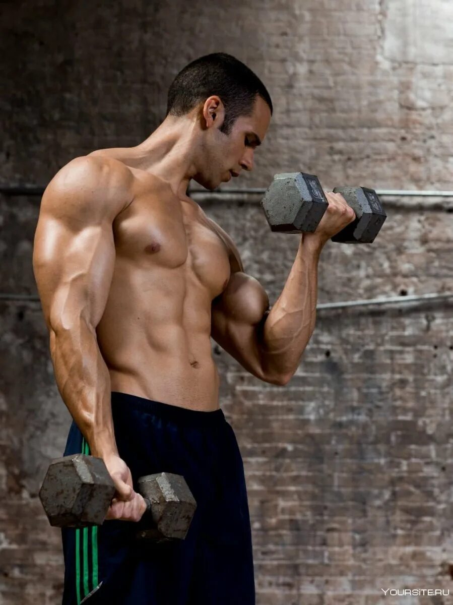 Мускулы руки. Рельефный бицепс. Огромный бицепс. Мускулистая рука. Игорь ковтун разрыв бицепса.