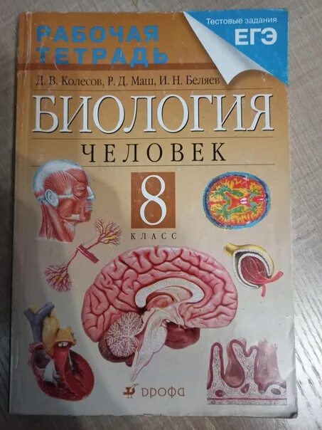 Биология 8 рабочая тетрадь маш беляев. Биология человек 8 класс Колесов маш Беляев Дрофа. Биология человек 8 класс Колесов д.в маш р.д Беляев и.н. Биология 9 класс Колесов маш. Биология. . 9 Класс. Колесов д.в., маш р.д., Беляев и.н..