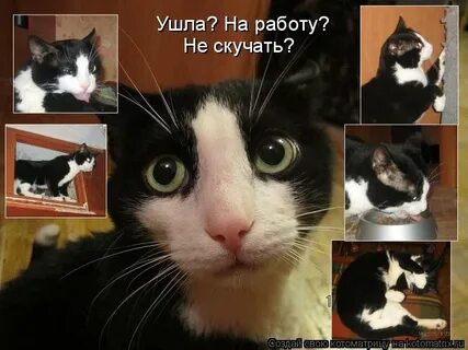 Не буду скучать уходи