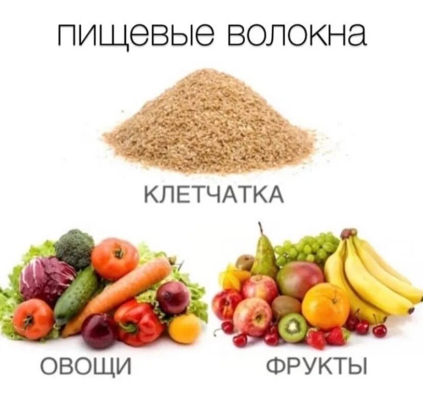 Пищевые волокна клетчатка. Источник пищевых волокон в продуктах. Клетчатка в овощах. Клетчатка в питании человека. В овощах есть клетчатка