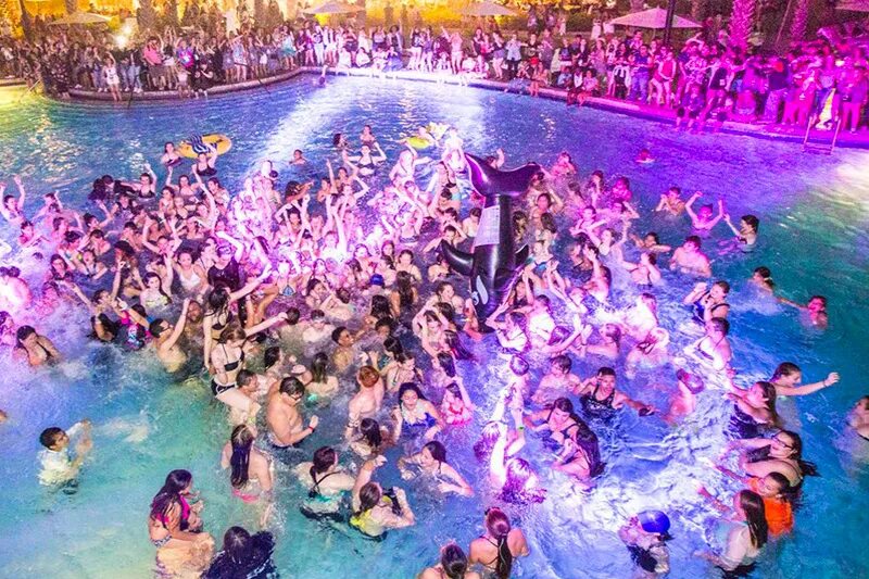 Будапешт вечеринка в купальне. Дискотека в бассейне. Вечеринка у бассейна. Бассейн voda сестрорецк. Будапешт вечеринка в купальне.