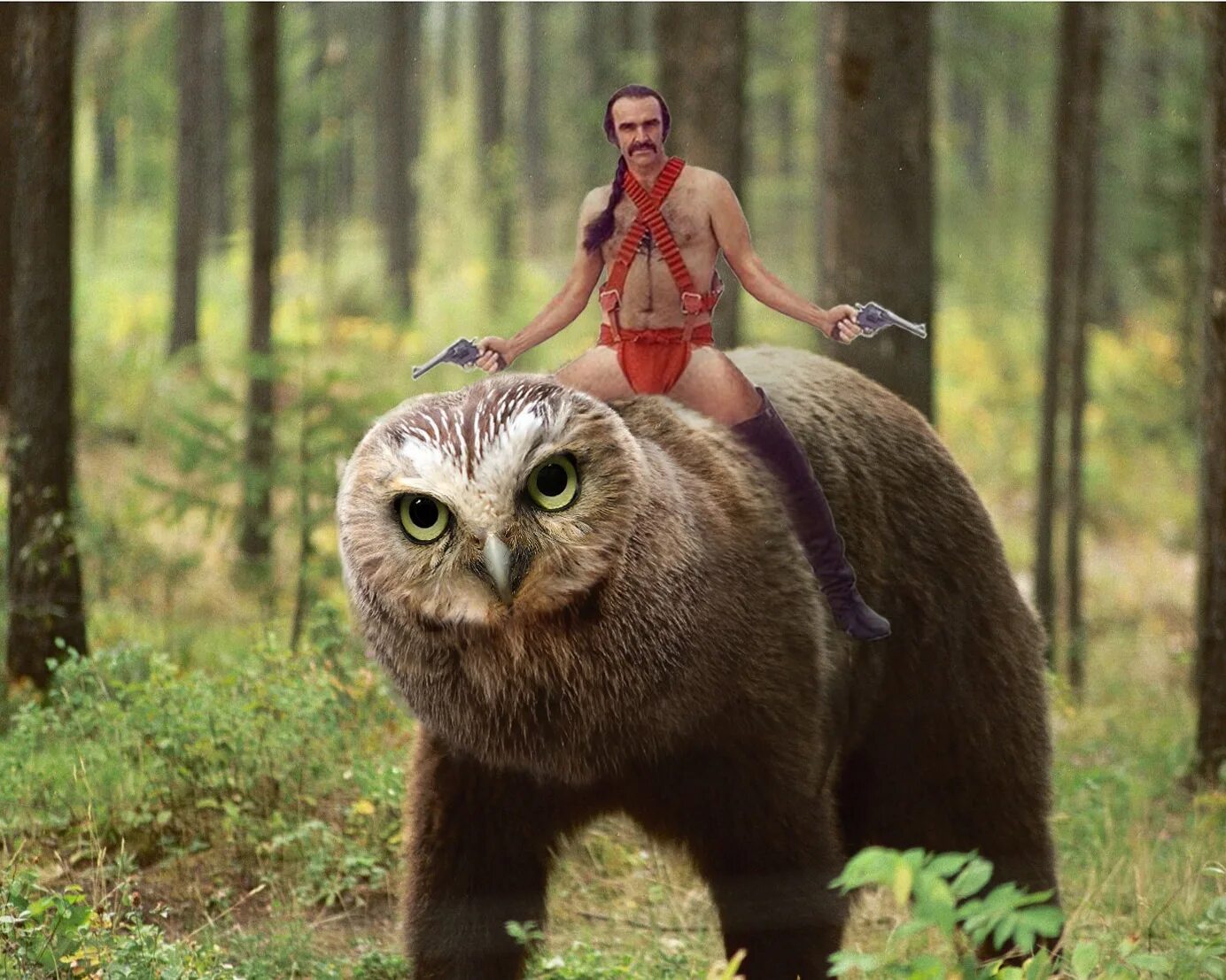 Совух днд. Совух днд. Baldur's gate 3 медвесыч. Медвесыч. Медведь сыч.