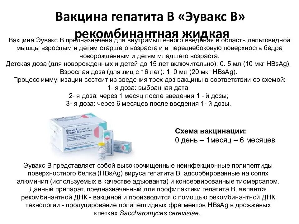 Вакцина представляет собой ответ. Схема вакцинации против гепатита в. Метод введения вакцины против гепатита б. Схема вакцинации от вирусного гепатита в. Место введения вакцины против гепатита б.