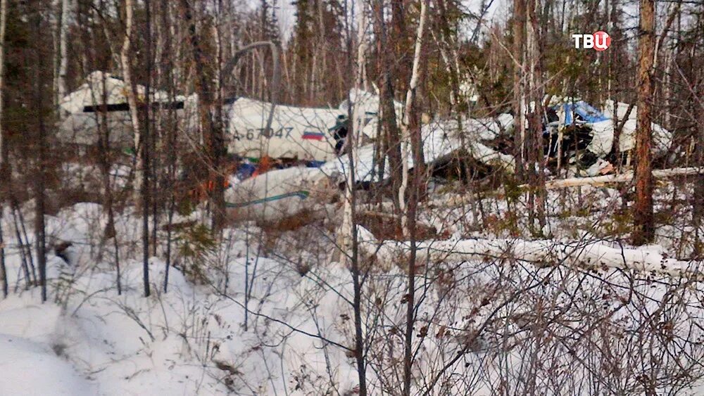 Лариса савицкая ан 24. Девочка выжившая на авиакатастрофе хабаровск. Фильм где девушка выжила в авиакатастрофе. Лариса савицкая крушение самолета. Девочка выжила в авиакатастрофе.