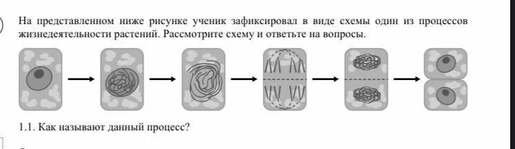 Процесс жизнедеятельности изображен на рисунке. Схемы процессов жизнедеятельности растений ученик зафиксировал. Схема одного из процессов жизнедеятельности растений. Схемы процессов жизнедеятельности растений на рисунке. Схемы один из процессов жизнедеятельности растительной клетки.