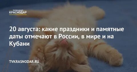 20 августа всемирный день лени прикольные