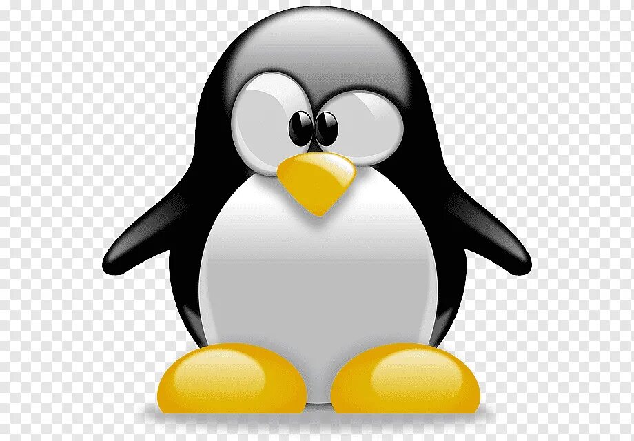 Птица изображенная на логотипе linux. Птица изображенная на логотипе linux