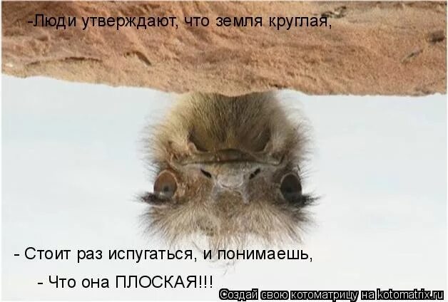 Некоторые люди утверждают что. Самый интересный факт про любовь. Я заметил что даже люди утверждающие что все предопределено. Мелочи жизни картинки. Фразы стивена хокинга.