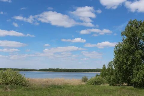 Курганская земля