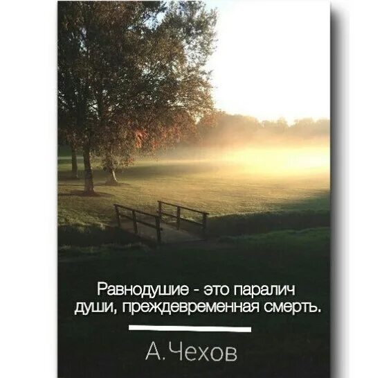 Равнодушие это паралич души. Безразличие это паралич души. Равнодушие это паралич души преждевременная смерть. Равнодушие- это паралич души преждевременная смерть а.п Чехов.