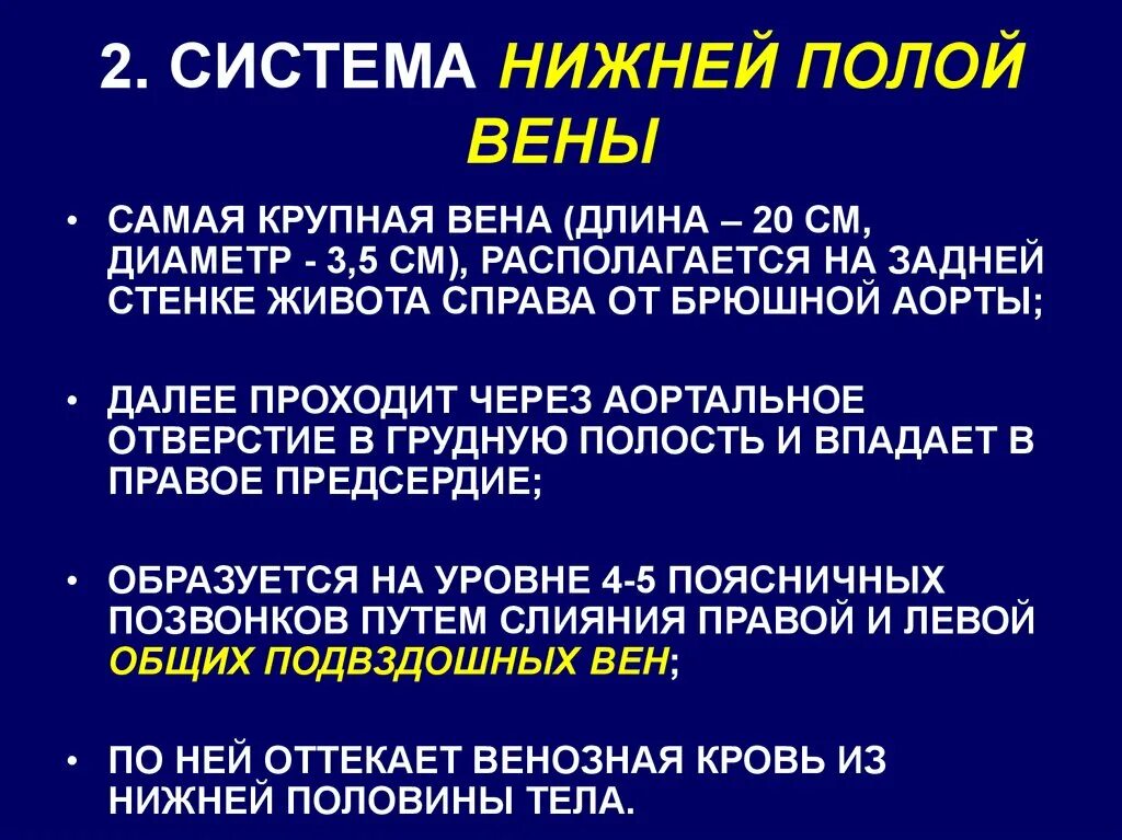 Две нижних полых вены. Система нижних полых вен. Система нижней полой вены. Системс нижней половй аены. Вены системы нижней полой вены.