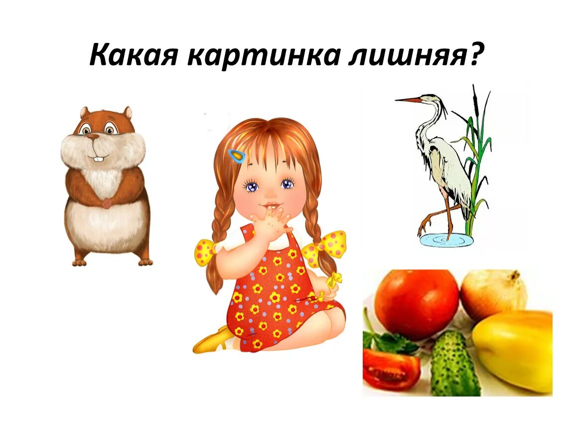 Покажи картинки что можно. Какая картинка лишняя. Игра какая картинка не нужна. Какая из картинок лишняя. Картинки что на картинке лишнее.