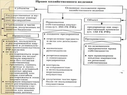 Право собственности хозяйственного общества