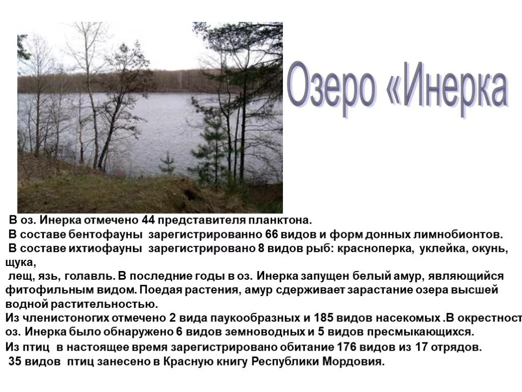 Богатства мордовии. Памятники природы Мордовии. Презентация озера Мордовии. Заповедная Мордовия презентация. Памятники природы Мордовии доклад.