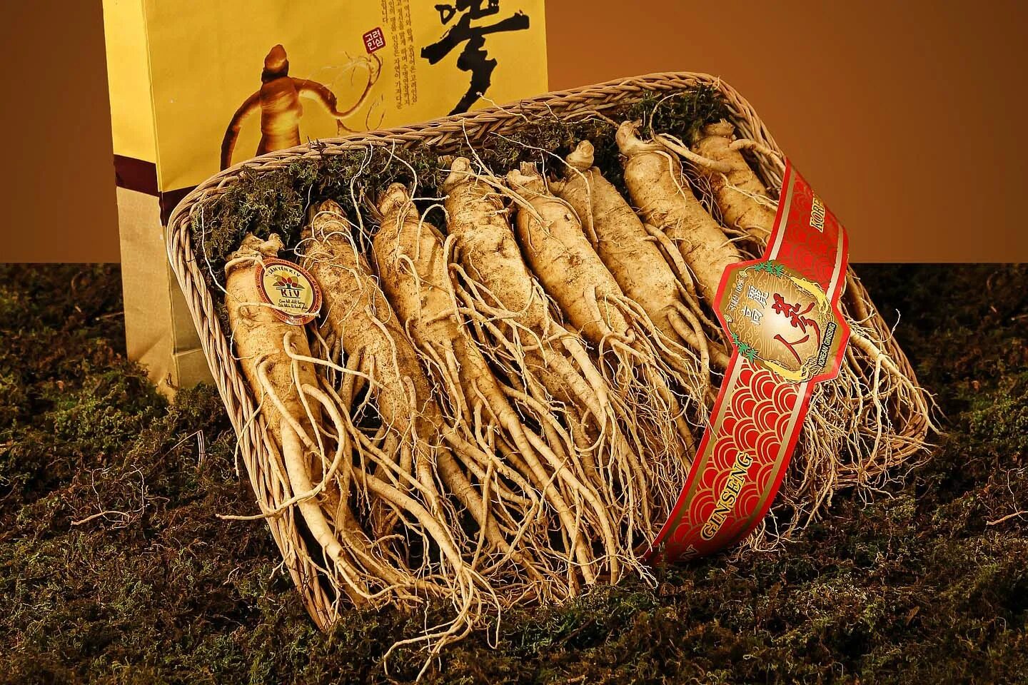 Panax ginseng. Корень женьшеня. Корень гинсенг. Женьшень геншин. Корень женьшеня тайский.