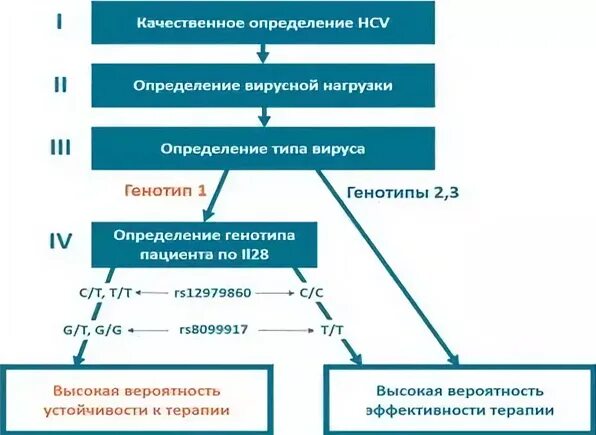 Генотипирование вируса гепатита с. Генотипирование вируса гепатита с 1b что это такое. Генотипирование гепатита генотип 1. Вирус гепатита с генотипирование РНК 3а/3в. Генотип вируса это