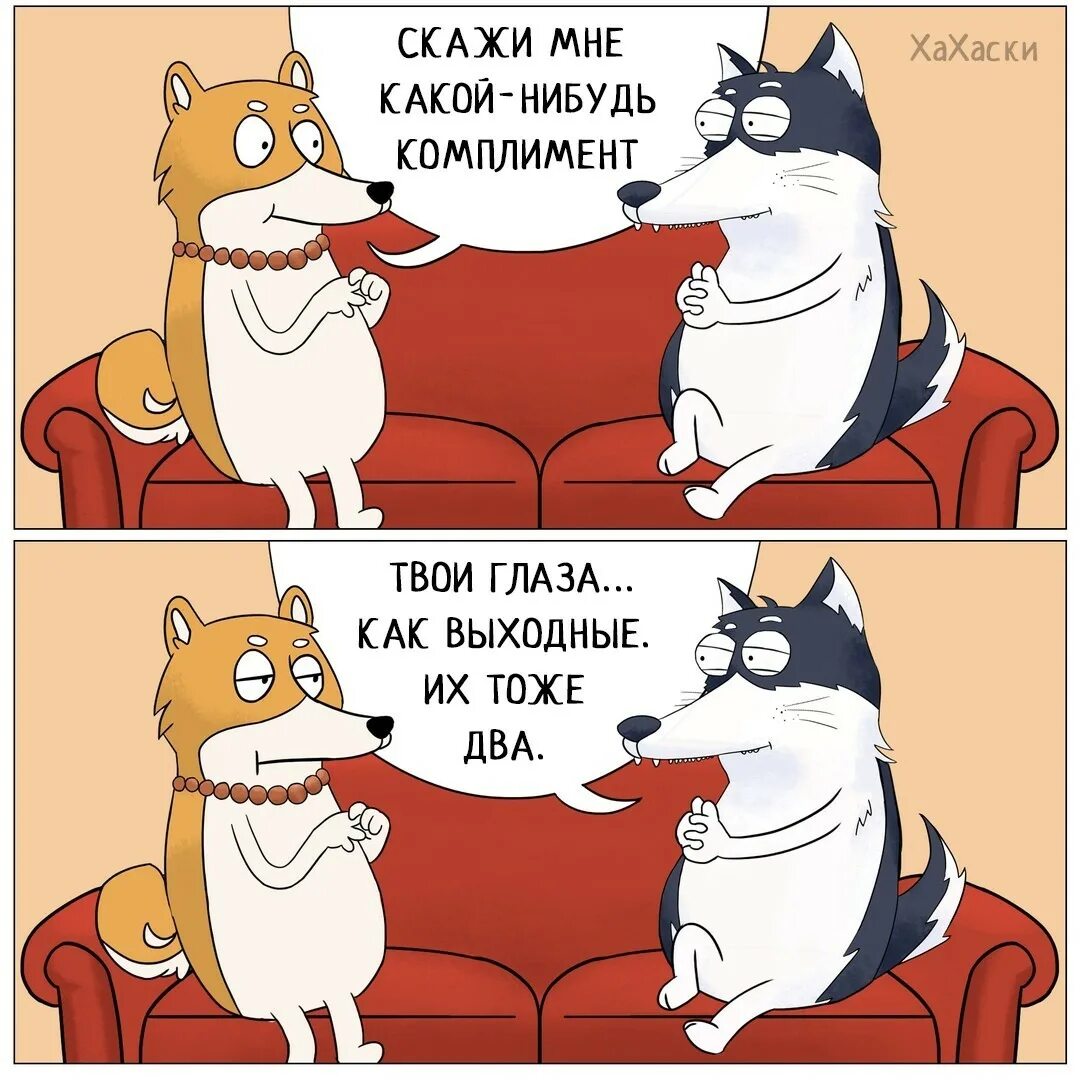 Ловить моменты твои комплименты. Шуточные комплименты. комплименты с юмором. комплимент прикол. шутки про комплименты.