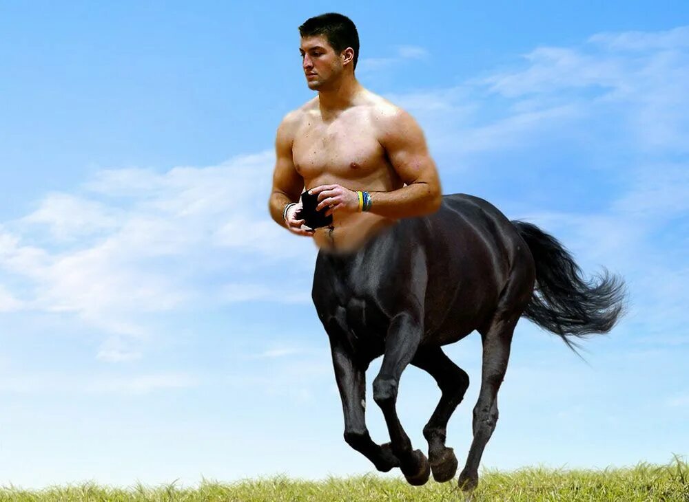 Конь мужик баб. Человек конь. Человек на лошади. Мужчина на лошади.