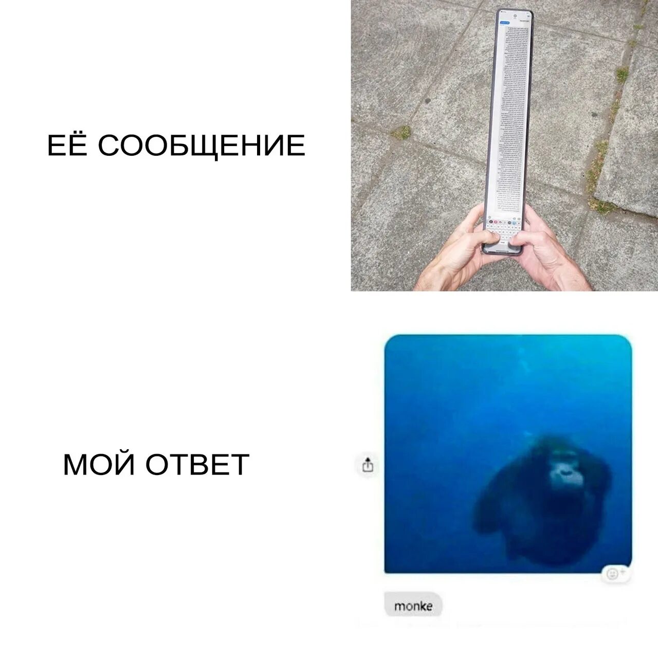 Говорю мужу ответ