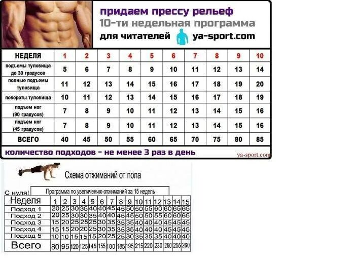 Расписание качков. Программа тренировок пресс схема. Схемы отжиманий от пола для накачки мышц. Схема прокачки отжиманий. Программа отжимания пресс тренировок для мужчин.