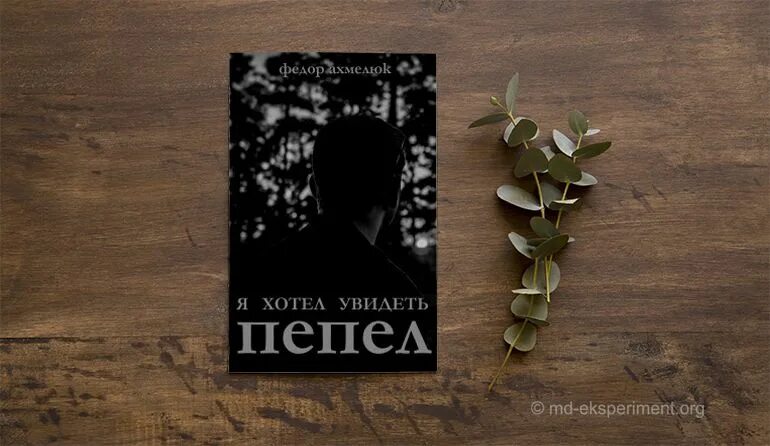 Пепел перемен 1 читать. Закрытая книга вид сверху Эстетика. Пепел Марнейи книга. Книга прах и пепел.