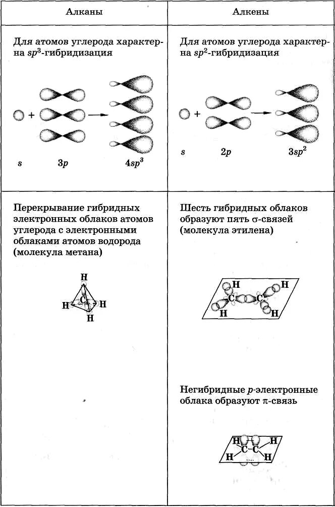 Алканы гибридизация атомов углерода. Тип гибридизации атомов углерода алканов. Вид гибридизации орбиталей алканов. Тип гибридизации орбиталей алканов.