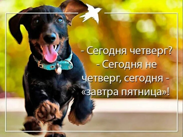 Удачного дня завтра