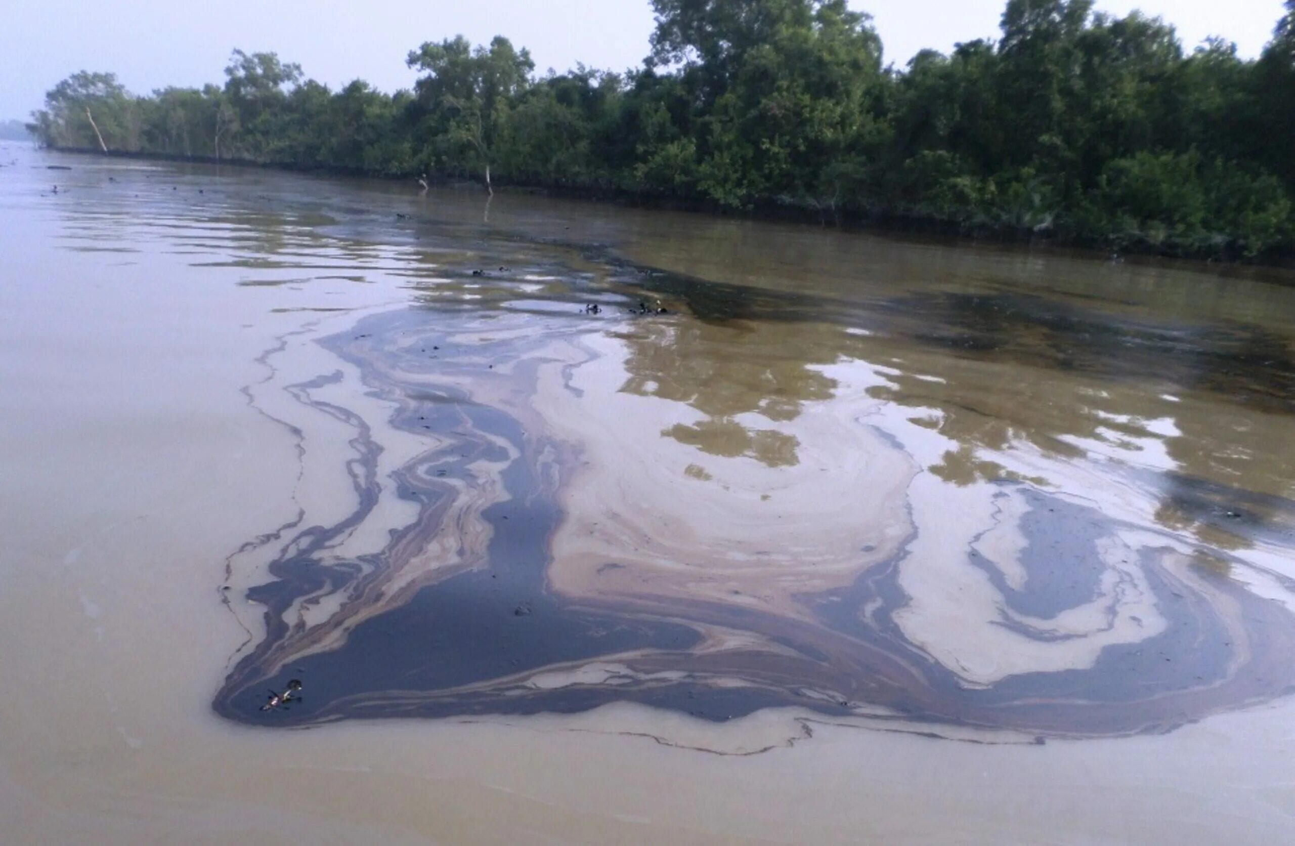 Загрязнение воды в Иркутской области. Загрязнение воды Иркутская область Ангара. Разлив реки Кубань. Загрязнение водоемов нефтепродуктами. Реки выносят свои воды в