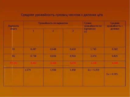 Сколько чеснока на 1 сотку
