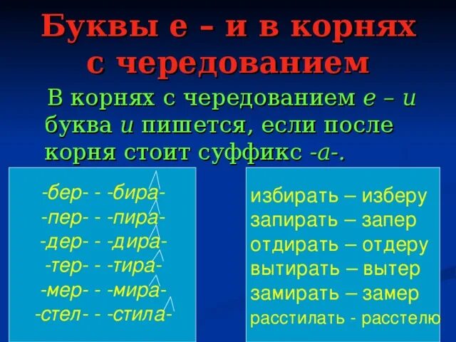 Корни с чередованием 5 класс слова. Буквы е и и в корнях с чередованием. Корни с черед е и. Букаы е и и в корнчх с черед. Буквы е и в корнях с черед.