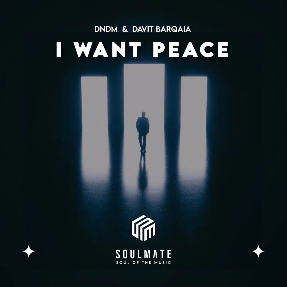 I want Peace Davit Barqaia, dndm. Davit Barqaia Baby. Davit Barqaia музыкант. Музыкальная группа dndm.