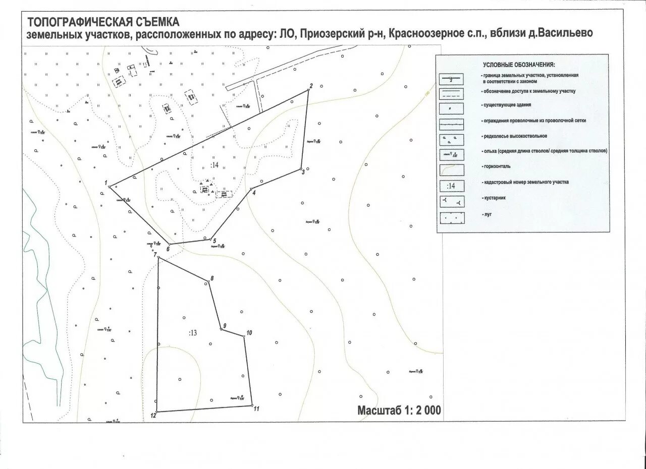 Что такое топосъемка земельного. Топографическая съемка земельного участка д темкино. топографический план участка как выглядит. геодезическая съемка земельного участка схема. топографическая карта 1 500 для водоканала.