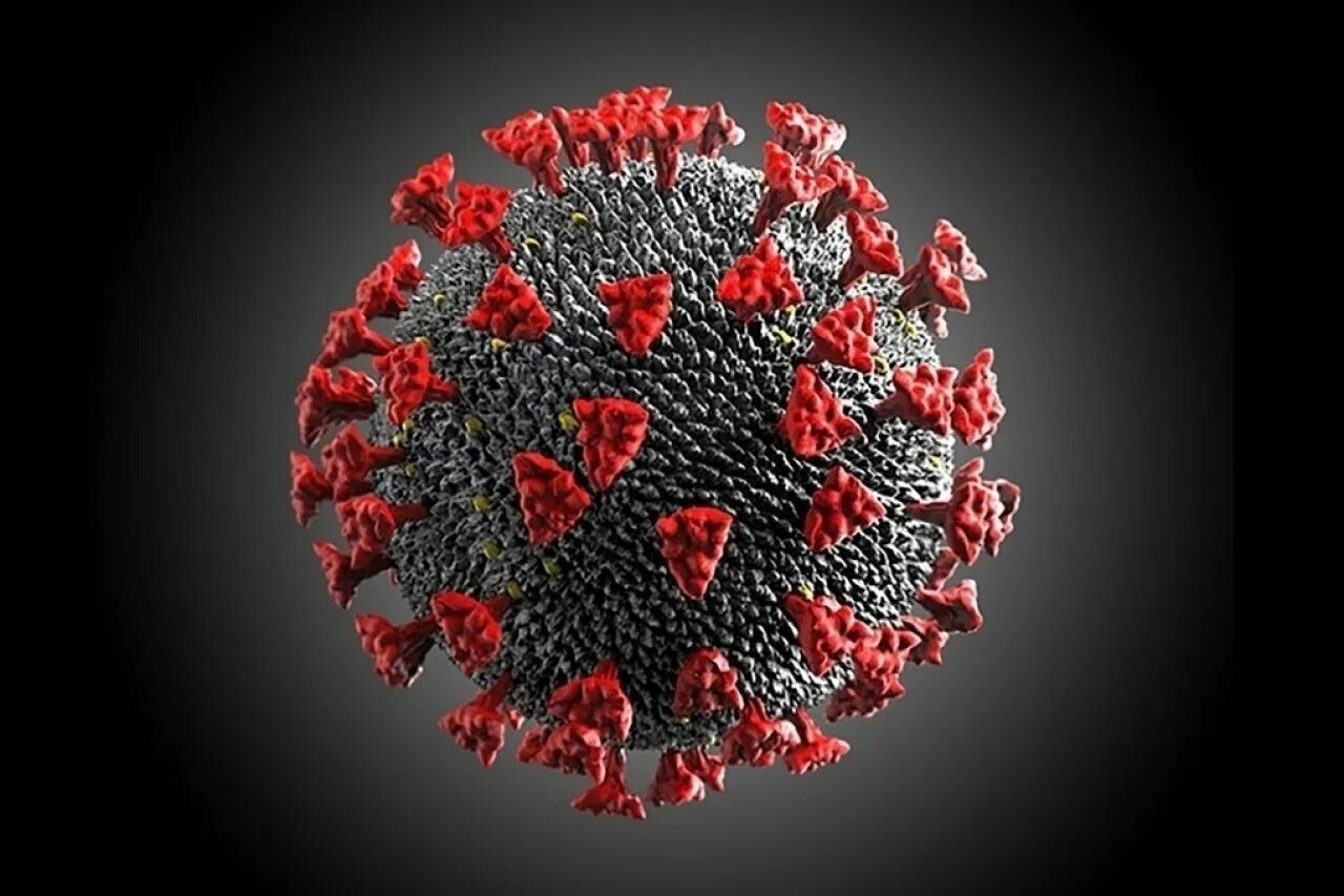 Вирус ковид 19 под микроскопом. Ковид coronavirus. Как выглядит вирус коронавируса. Вирус коронавируса под микроскопом.