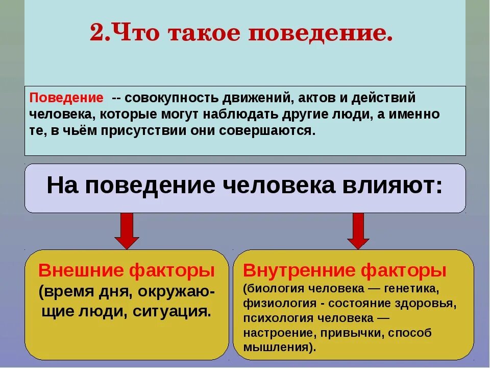 Поведение это в обществознании. Поведение. Поведение определение. Поведение это в психологии.