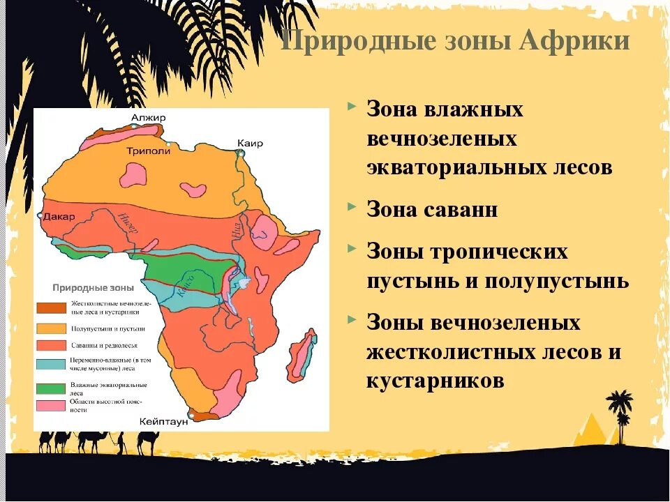 Среди перечисленных зон эта занимает наибольшую площадь. Географическая карта Африки природные зоны. Природная зона тропического пояса Африки. Карта природных зон Африки. Природные зоны материка Африка.